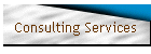 Consulting Services
