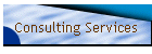 Consulting Services